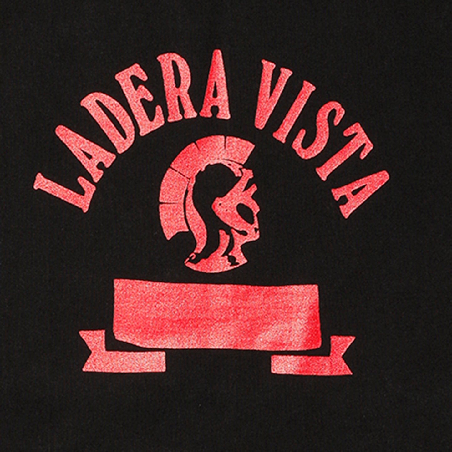 【Coming Soon】LADENA VISTA Tee【AB21233】