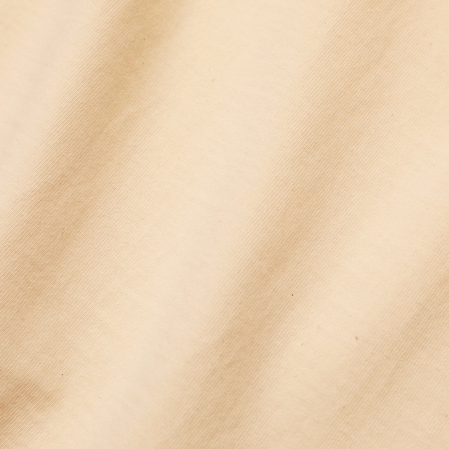 【Coming Soon】JELADO  Heavy Weight L/S Tee【AB94238】