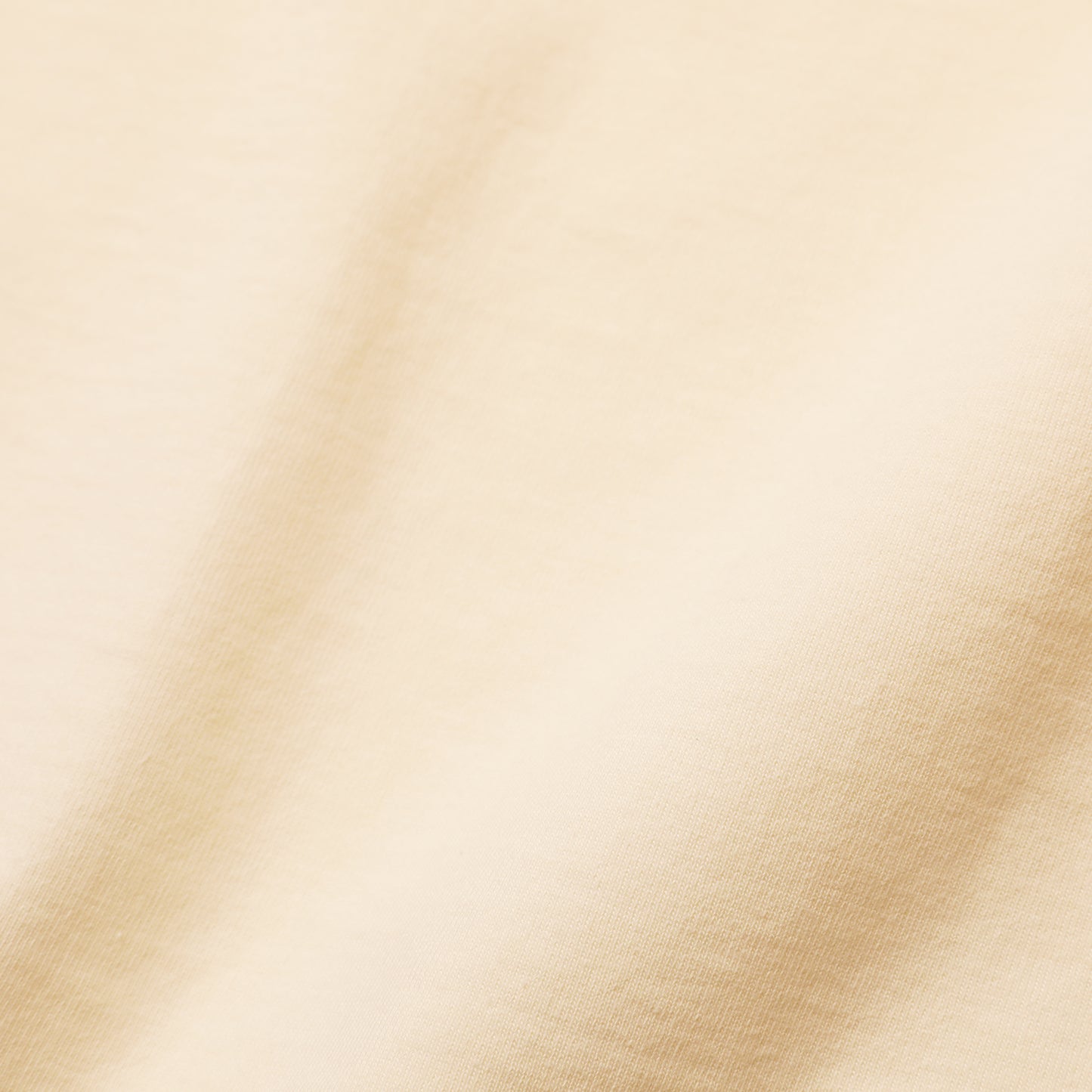 【Coming Soon】JELADO  Heavy Weight L/S Tee【AB94238】