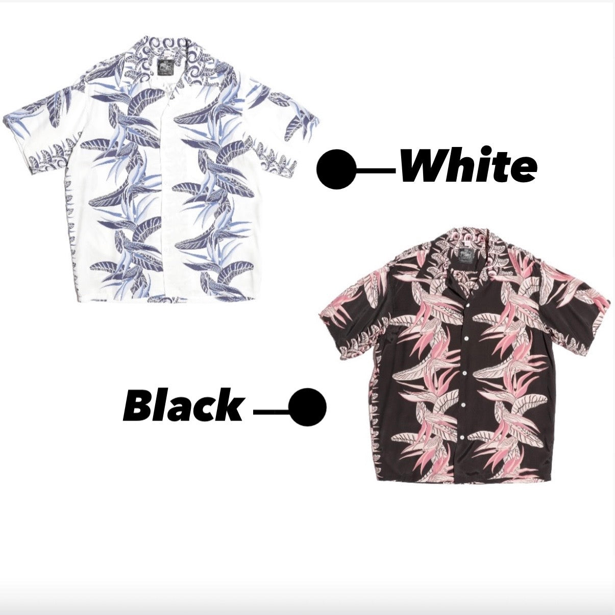 Kona Bay Hawaii Bird of Paradise 2026【BK-2026-03】