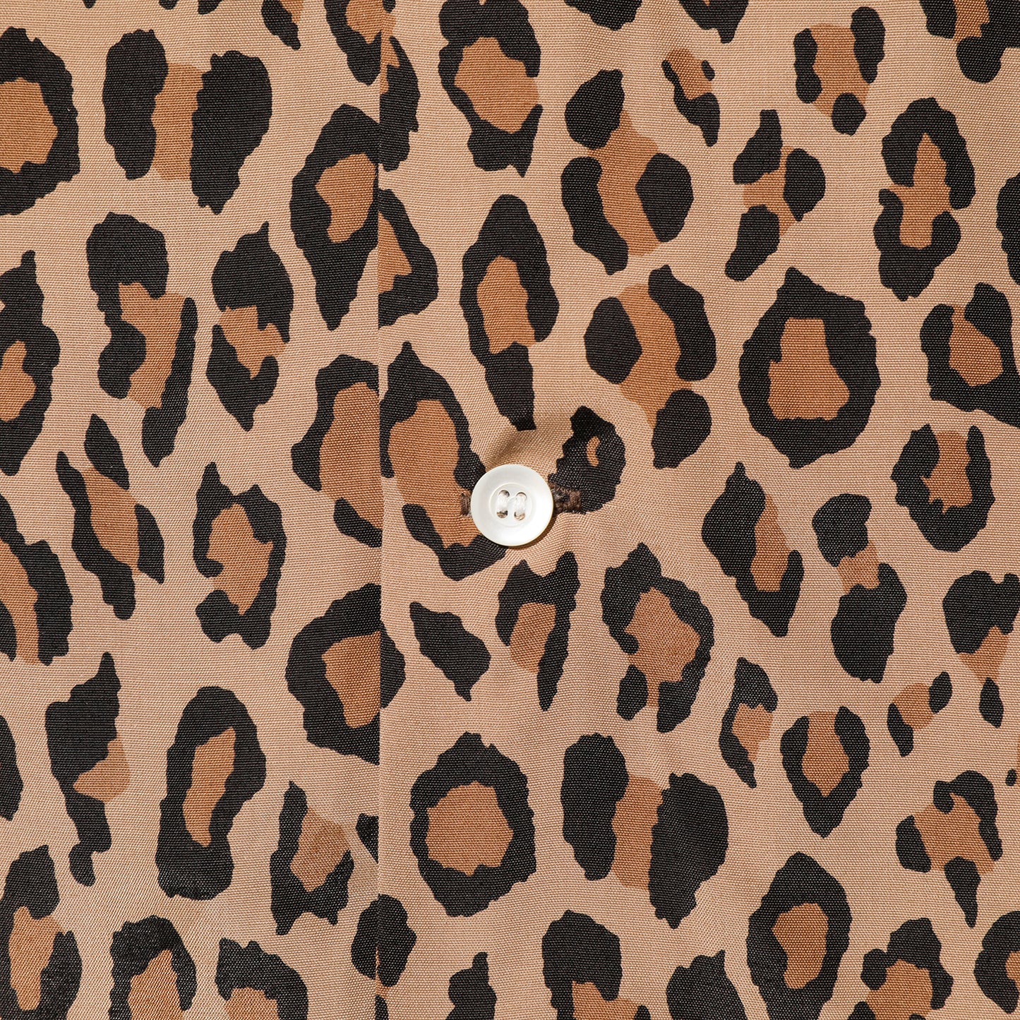 【Coming Soon】Hollywood【BL21115】