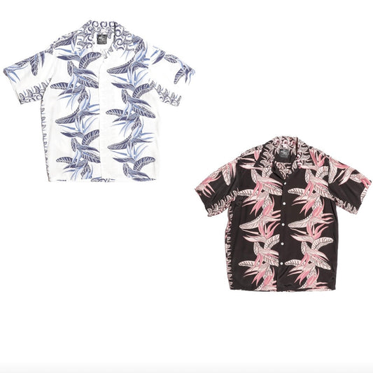 Kona Bay Hawaii Bird of Paradise 2026【BK-2026-03】