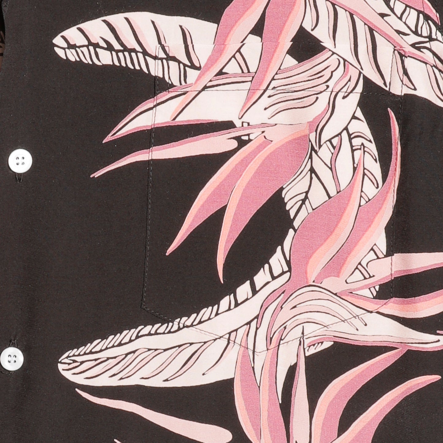 Kona Bay Hawaii Bird of Paradise 2026【BK-2026-03】