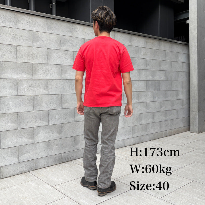 LADENA VISTA Tee【AB21233】