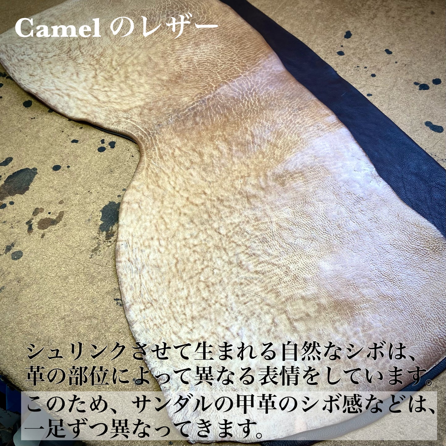 【18周年記念アイテム】The 2Monkeys　”AUGUSTUS”Sandal Camel"Waxed"【TM82952】